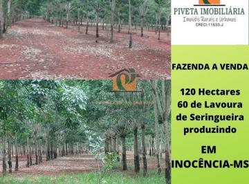 Imagem 1 · Fazenda