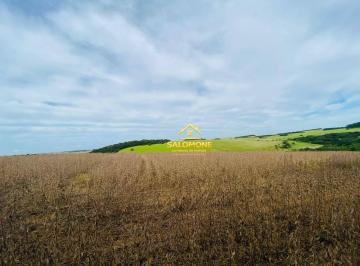 Imagem 1 · Fazenda
