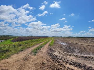 Imagem 1 · Fazenda