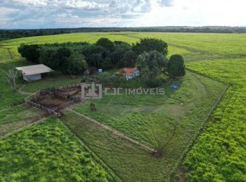 Imagem 1 · Fazenda