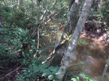 Terreno , Juquitiba · Terreno com Mina d' agua