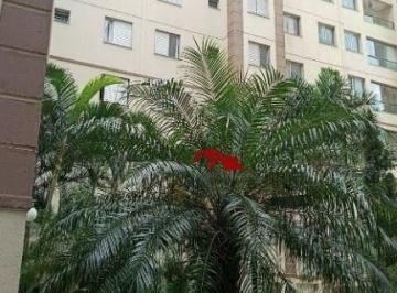 fd8e00919b2863d88d515d4fe5a9db951c274069 · Apartamento com 1 dormitório à venda por R$ 200.000 - Jardim Santa Terezinha - São Paulo/SP