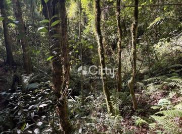 2d24f633ae5ba0c043aaecda1dde55b464bcb15d · Chácara à Venda em Quatro Barras - 20.360 m2 - 450 Mil