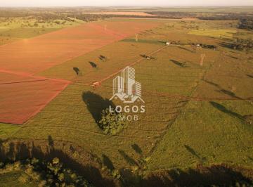 Rural · 250m² · 3 Quartos · 5 Vagas · Fazenda com 79 hectares em Santa Vitória - Minas Gerais - 02.