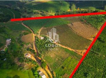 Rural · 250m² · 3 Quartos · 4 Vagas · Propriedade com 34 hectares produtora de Café - Fervedouro - Minas Gerais - 02.