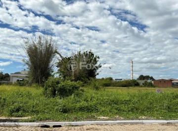 img1.jpeg · Terreno, 264 m², em Centro