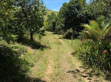 Foto 01 · Sitio, Nova Ribeira, Cachoeiras de Macacu, RJ