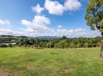 Rural de 3 quartos, São José dos Pinhais · Chácara no Avencal com Vista Panorâmica Para a Serra do Mar| Natureza, Privacidade e Potencial