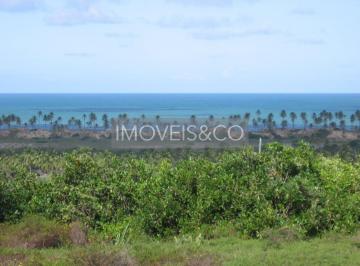 Imagem 1 · Fazenda