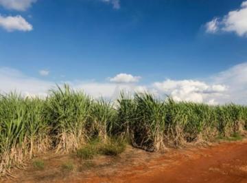 Imagem 1 · Fazenda