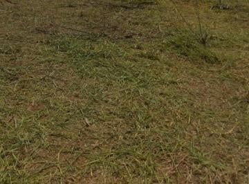 Terreno , Araçoiaba da Serra · Terreno para chácara