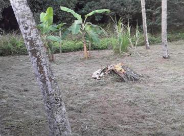 Foto 01 · Terreno, Santa Cruz, Rio de Janeiro, RJ