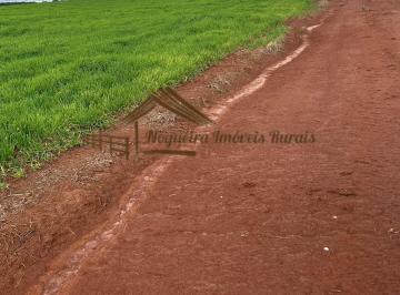 Rural , Avaré · Fazenda com 48 alqueires na região de Avaré-SP