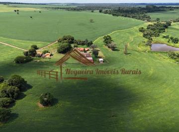 Rural , Ourinhos · Fazenda com 115 alqueires na região de Ourinhos-SP