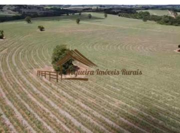 Rural , Itapetininga · Sítio com 26,5 Alqueires, com excelente casa sede, ótimo para agricultura, em Itapetininga-SP