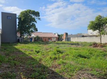 967354.jpg · Terreno - Bairro Araça