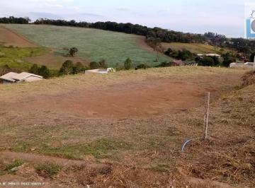 202604271640582919.jpg · Terreno para Venda em Pinhalzinho, Loteamento Chácaras Araucárias