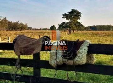 Rural · 920000m² · 1 Quarto · 1 Vaga · Página 1 Imóveis anuncia ótima Fazenda à Venda com 92 hectares - Águas Claras, Viamão
