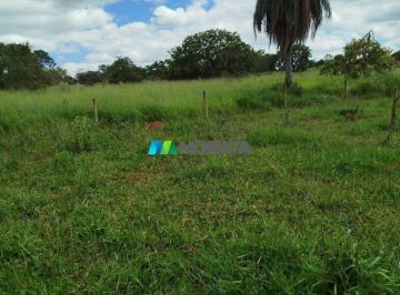 9991_i4777c66q82_999169efa36425413.jpg · Imoveis - na Zona Rural