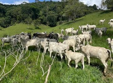 Rural · 3380000m² · 5 Quartos · 10 Vagas · Fazenda com 338 hectares à venda na Divisa de Alagoas com Pernambuco