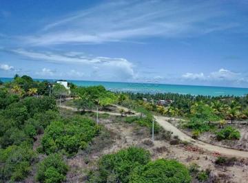 Rural · 274700m² · 7 Quartos · 10 Vagas · Sítio à venda com Vista Panorâmica para o Mar em Japaratinga