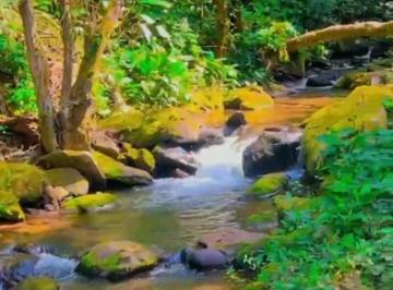 Rural de 2 quartos, Guapimirim · Lindo sítio na subida da serra de Teresópolis em Guapimirim ( Área nobre da cidade)