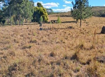 Rural · 2 Quartos · Rurais à venda - em Bom Jardim de Minas