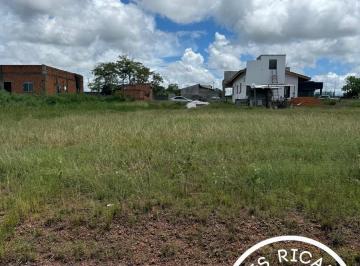 Foto 01 · REPASSE DE LOTE NO CASTELINHO
