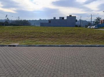Foto 13 · Terreno, Vila Augusta, Viamão, RS