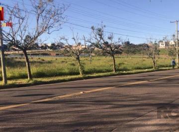 Terreno · 4704m² · Amplo terreno com 4.704m²