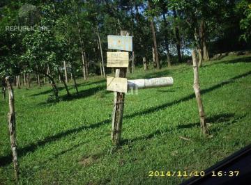 Terreno · 4200m² · Terreno para Venda - 0m², 0 dormitórios, Lomba do Pinheiro