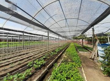 Terreno · 6629m² · SÍTIO DENTRO DE PORTO ALEGRE 6.629,10 metros quadrados de área no bairro Campo N