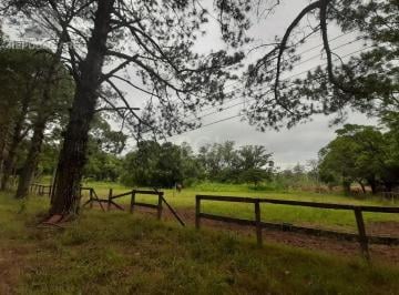 Rural · 120217m² · Sítio para Venda - 120217m², 0 dormitórios, Campo Novo