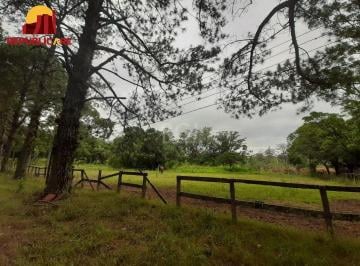 Rural · 120217m² · Sítio para Venda - 120217m², 0 dormitórios, Campo Novo
