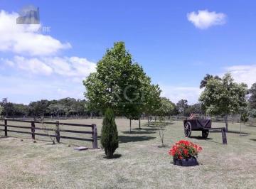Rural · 4m² · 3 Quartos · 9 Vagas · Sítio para Venda - 40685m², 0 dormitórios, Lami