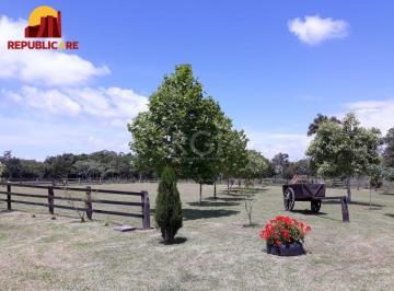 Rural · 40685m² · 3 Quartos · 9 Vagas · Sítio para Venda - 40.685m², 3 quartos, piscina,açude, casa caseiro Lami