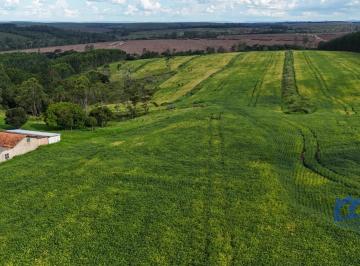 Foto 01 · Sitio/Fazenda à Venda, 65 Alqueires  por R$ 22.000.000 Cód. ch2712