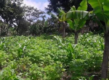 Rural · 2000m² · 1 Quarto · Chácara em Tatetos  -  São Bernardo do Campo