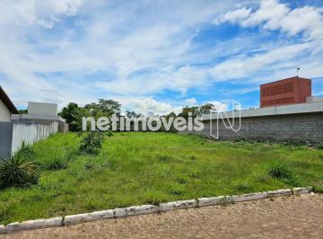 55b90f37-4120-43fb-8f13-b0afc155406e.webp · Lote plano regularizado.