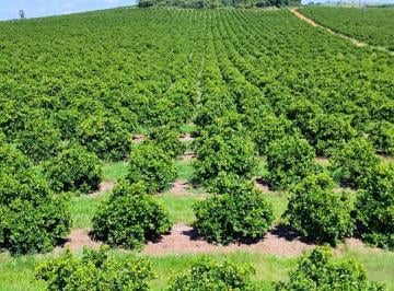 20260428121239357.jpeg · Fazenda para Venda em São Sebastião do Paraíso, RURAL