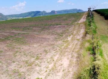 202604281323556739.jpeg · Fazenda para Venda em Santo Antônio da Alegria, RURAL