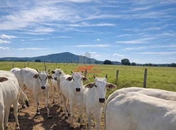 Rural · 400m² · Fazenda em Porangatu GO | 102 Alq | R$ 130 Mil/Alqueire