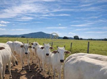 Rural · 400m² · Fazenda em Porangatu GO | 102 Alq | R$ 130 Mil/Alqueire