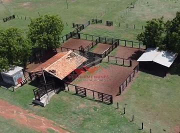 Curral equipado com balança de precisão e apartador, pronto para embarque e desembarque imediato. · Fazenda em Mozarlândia GO | 90 Alqueires | Pronta para Gado