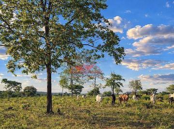 Proximidade com grandes polos receptores de grãos e frigoríficos do sudoeste goiano. · Fazenda em Jataí-GO: 484 ha de Dupla Aptidão | Aceita Soja