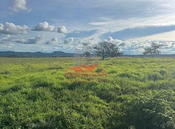 Rural · 5566000m² · Fazenda em Caiapônia: 115 Alq. Planos e 20 Anos para Pagar