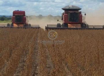 Alta performance produtiva com topografia plana, ideal para mecanização total da safra e safrinha. · Fazenda 13.530 ha em Sinop/MT | 7.000 ha Lavoura e Silos