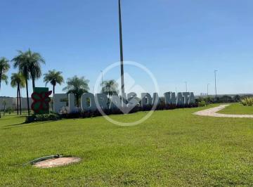 Terreno · 388m² · Lote 388 m² | Florais da Mata — Várzea Grande