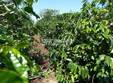 11777404496836.jpg ·  SÍTIO À VENDA EM PINHALÃO/PR COM 3 HECTARES (30 MIL M²)  IDEAL PARA LAZER, MORADIA OU INVESTIMENTO,