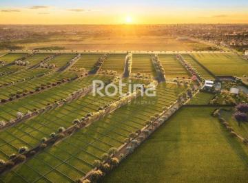 Terreno · 9795m² · Terreno Condomínio Fechado à venda, Jardim Canaã - Uberlândia/MG - Rotina Imobiliária